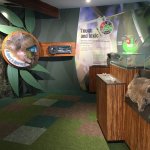 Daisy Hill Koala Centre displays