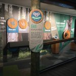 Daisy Hill Koala Centre displays