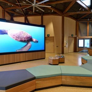 Mon Repos Turtle Centre Courtyard LED screen display installation