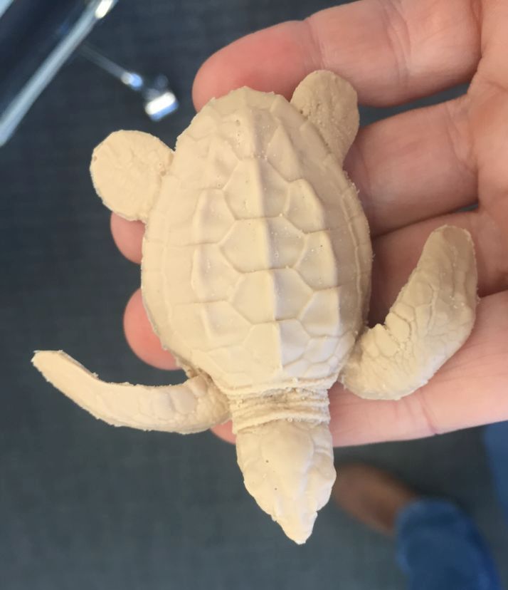 turtle hatchling prop mold rubber silicone